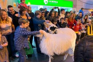 Cabalgata de los Reyes Magos en Telde (Foto TA y Antonio Alí))
